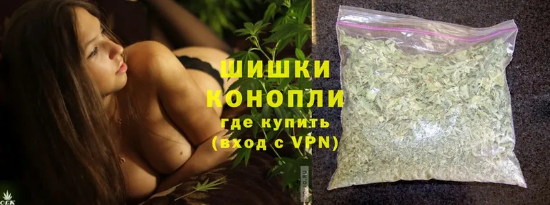 Конопля OG Kush  Алагир 